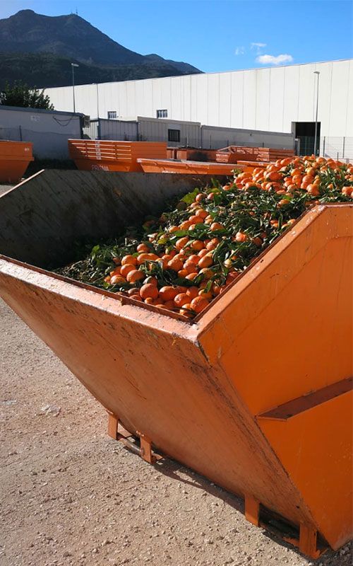 Contenedores Agroalimentarios en Gandia