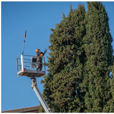 Contenedor para restos de poda y limpieza del jardín