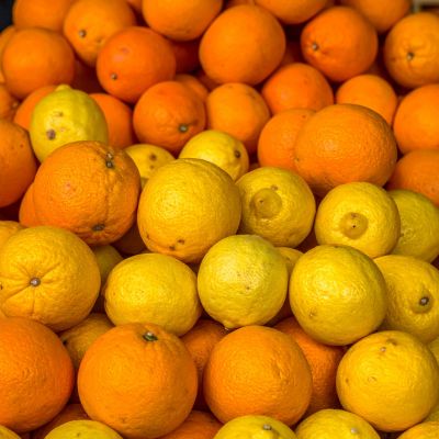 contenedores agroalimentarios en la Safor