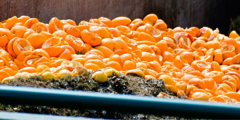 El uso de contenedores agroalimentarios