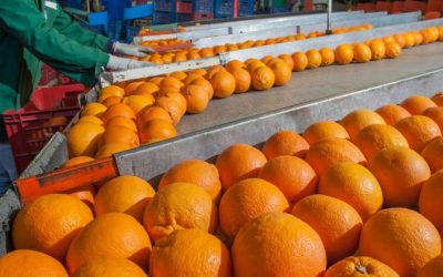 La importancia de la limpieza en almacenes agroalimentarios