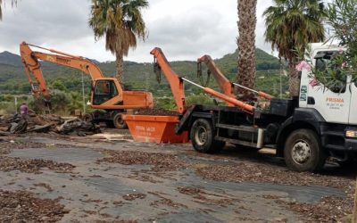 ¿Qué hacer con los restos de poda?