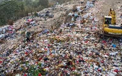 Gestión de residuos: beneficios medioambientales y económicos