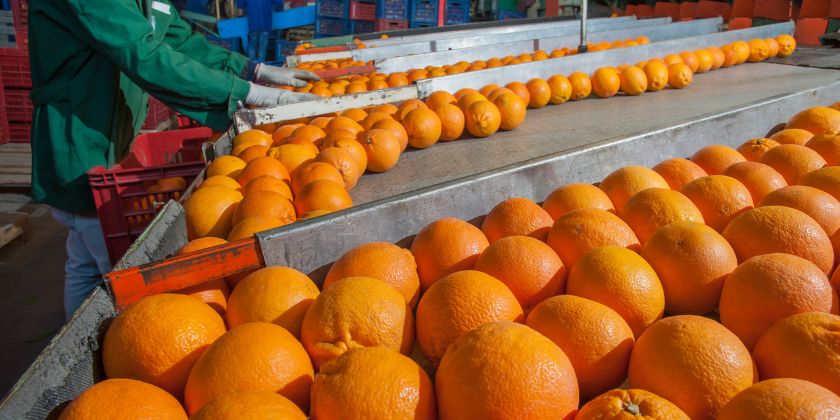 Contenedores agroalimentarios en La Safor