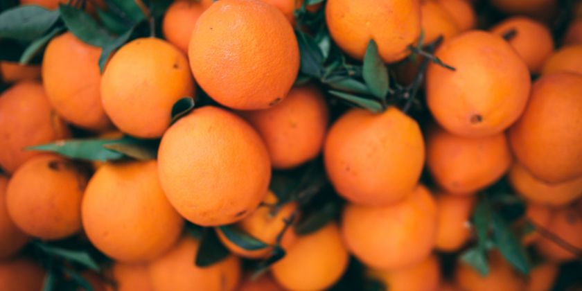 Los contenedores agroalimentarios en la campaña citrícola