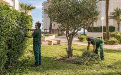 Mantenimiento de jardines: calendario anual para viviendas y comunidades